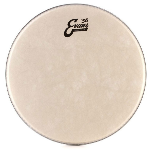 Evans Calftone Tom Batter, 12 Inch TT12C7