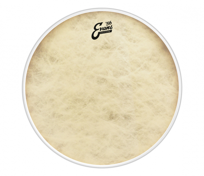 Evans Calftone EQ4 Bass Drum Head, 20 Inch BD20GB4CT